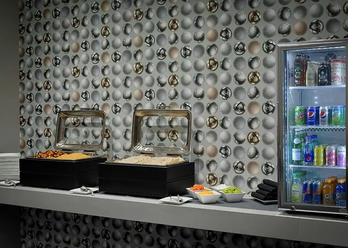 Dog friendly hotels Aloft Chicago Mag Mile